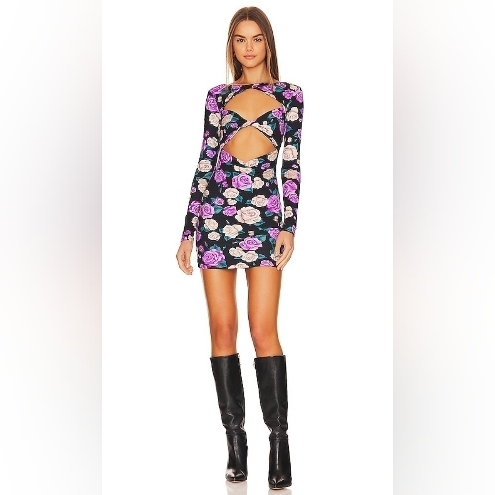 Lovers and Friends Koehler Rose Cut Out Mini Dress Size XS NWT